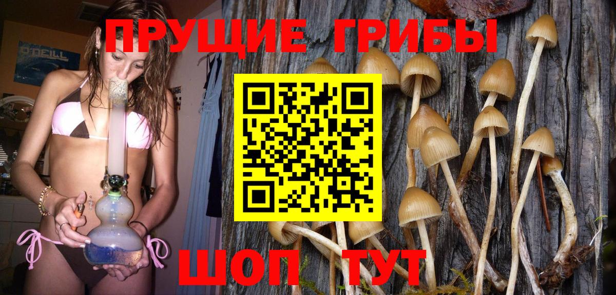 Псилоцибиновые грибы GOLDEN TEACHER Мичуринск