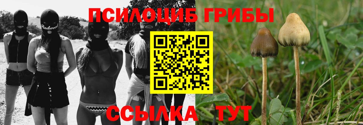 Мичуринск  Псилоцибиновые грибы Psilocybine cubensis  Вход с VPN  Галлюциногенные грибы GOLDEN TEACHER 